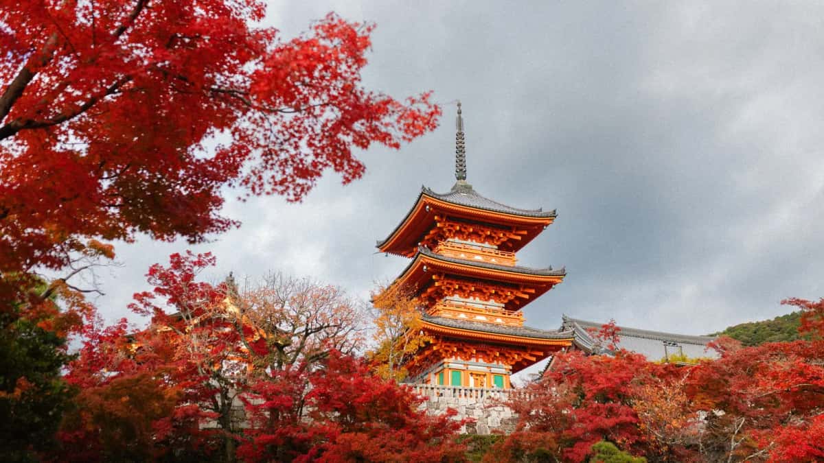 Pagode de Kiyomizu-dera entourée d'érables rouge vif en automne à Kyoto