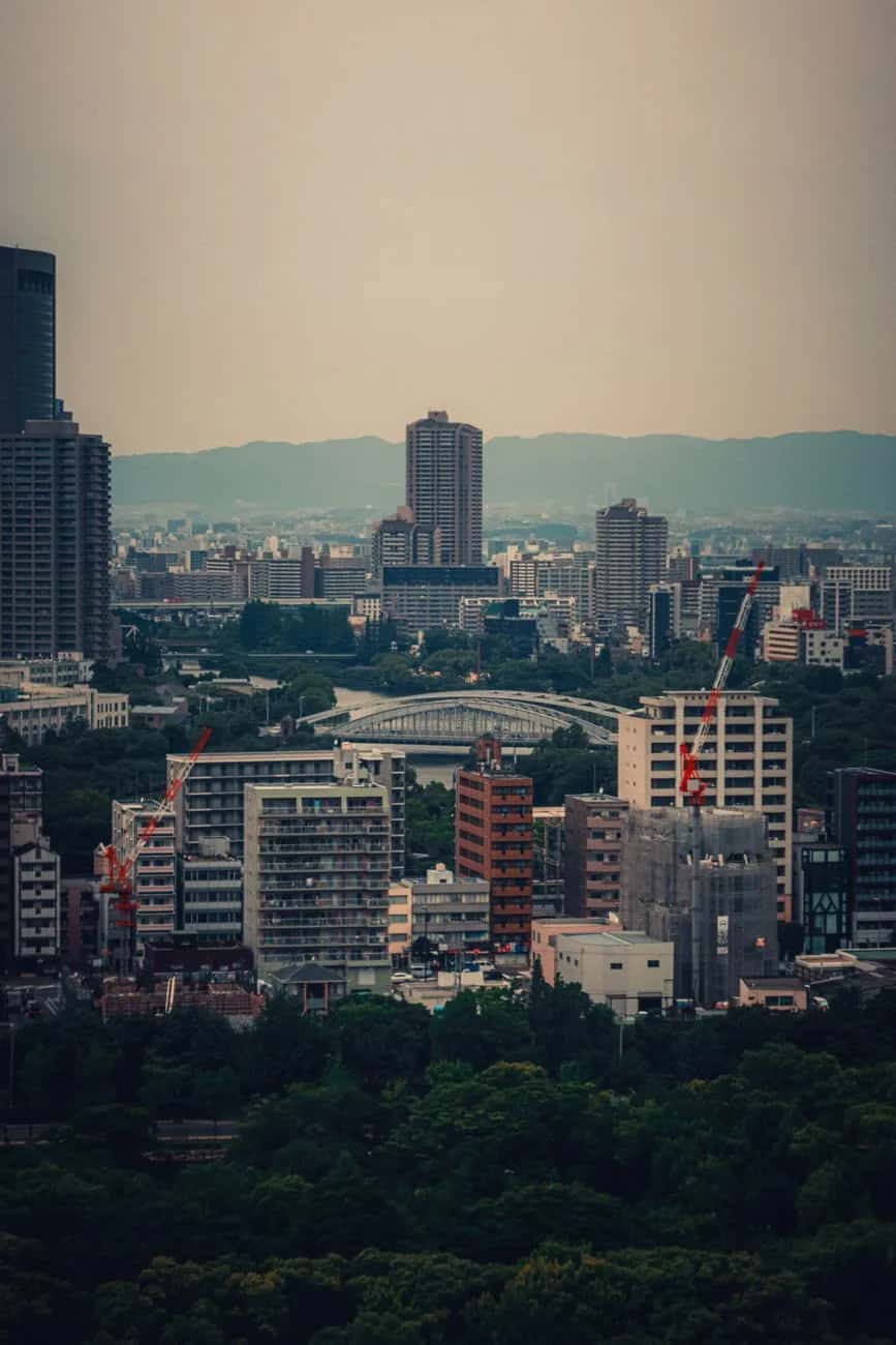 Immeubles résidentiels japonais et grues de chantier