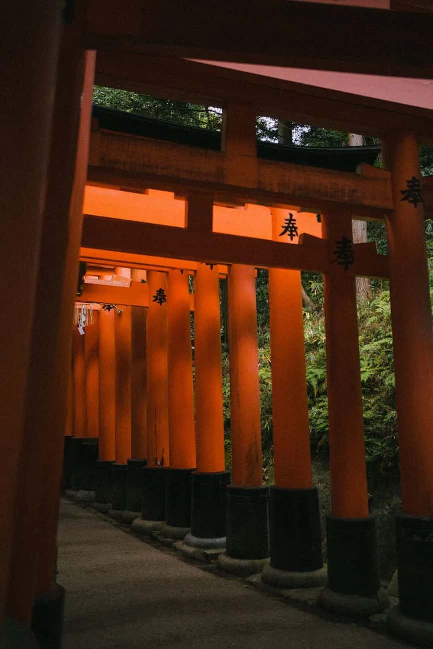 Allée de torii vermillon à Fushimi Inari Taisha