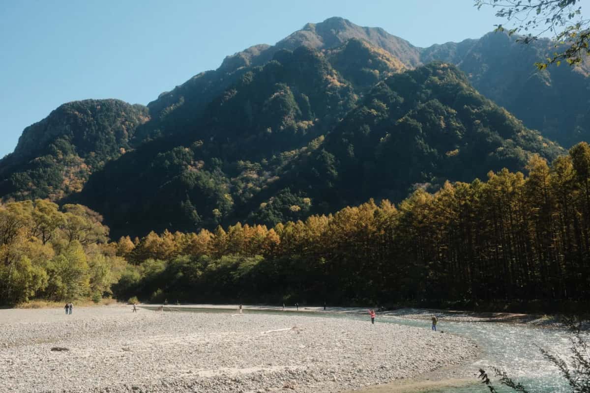Rivière Azusa et mélèzes d'automne au pied des sommets des Alpes japonaises, à Kamikochi