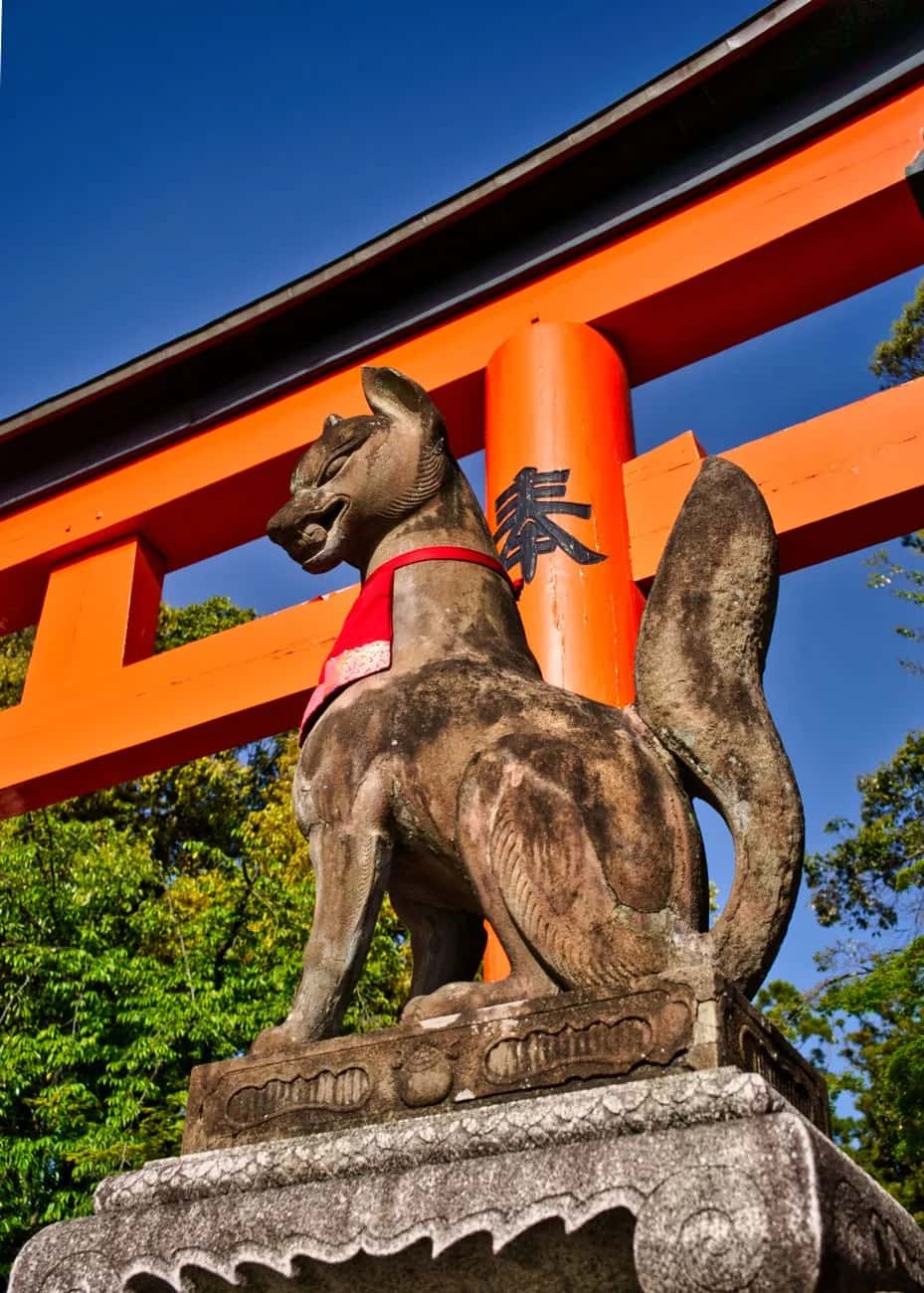 Statue de renard kitsune en pierre portant un foulard rouge, sous un torii à Fushimi Inari, Kyoto