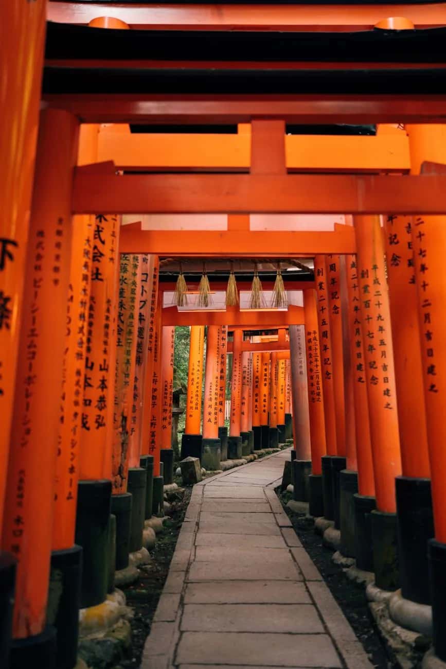 Le tunnel du Senbon Torii à Fushimi Inari, portiques vermillon serrés au-dessus d'un chemin de pierre