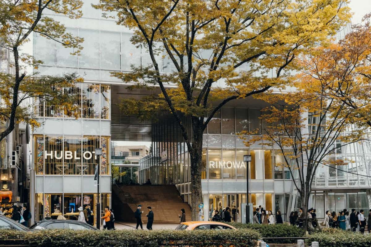 Les zelkovas en automne sur l'avenue Omotesando, à Harajuku