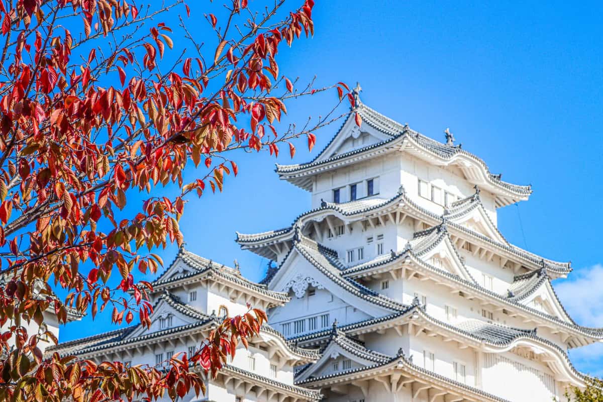 Toits et pignons blancs superposés du donjon principal du château de Himeji