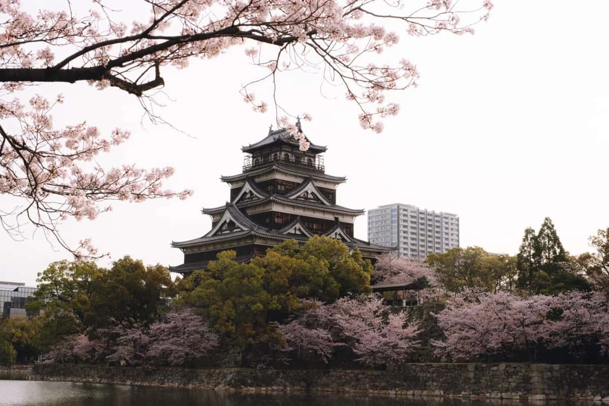 Le donjon du château d'Hiroshima entouré de cerisiers en fleur