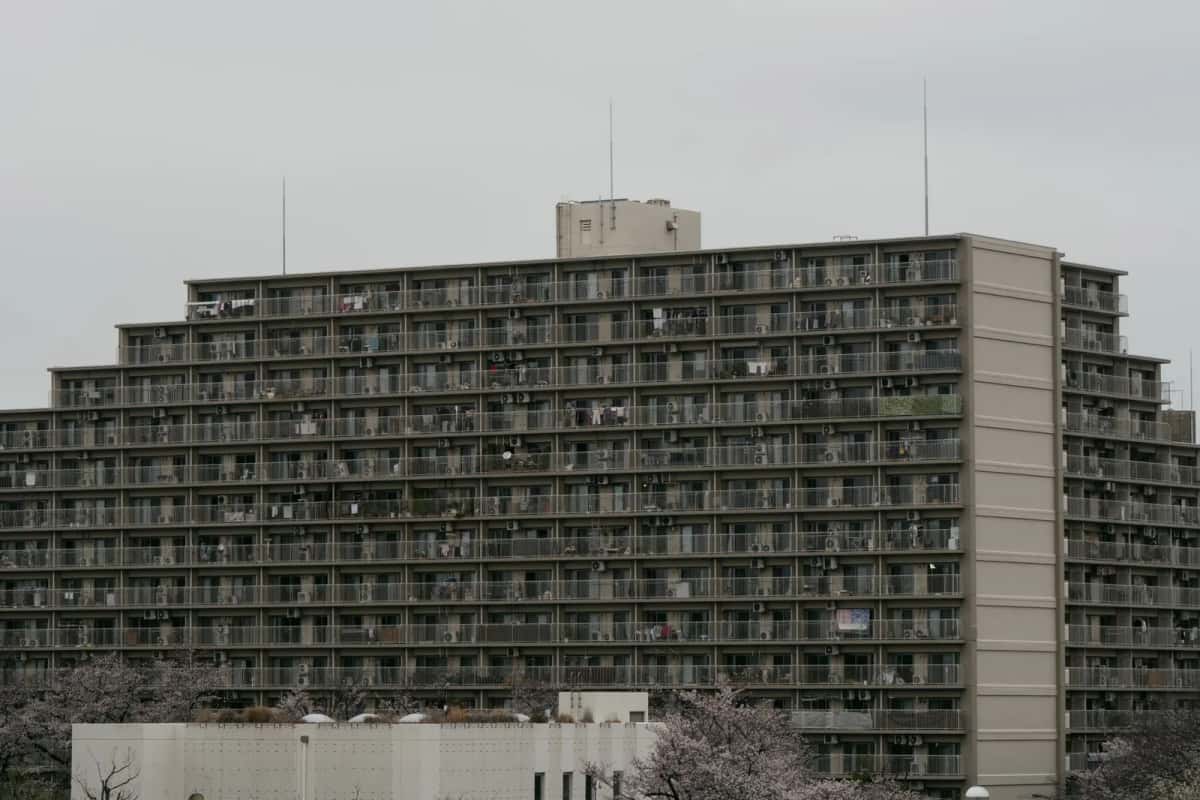 Grand immeuble d'habitation de type danchi à Tokyo, cerisiers en fleurs au premier plan