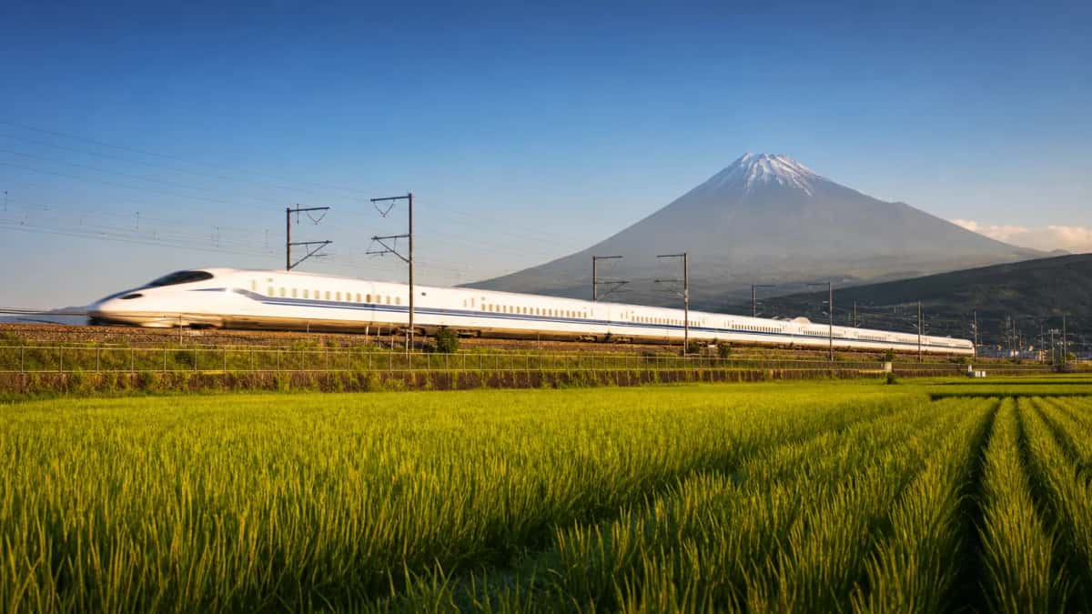 Un Shinkansen file devant le Mont Fuji à travers les rizières, sur la ligne Tokaido au Japon