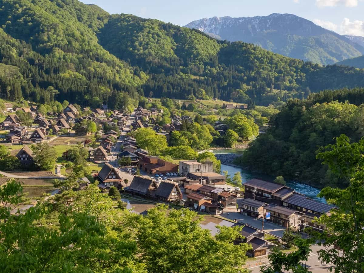 Les maisons au toit de chaume gassho-zukuri du village de Shirakawa-go, entourées de rizières et de montagnes