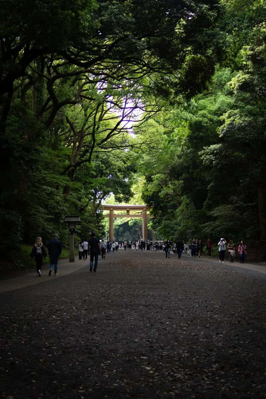 L'allée de gravier du Meiji Jingu menant au grand torii, sous la forêt de Tokyo