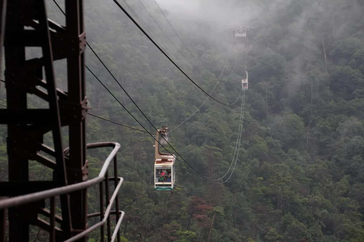 Cabine du téléphérique de Miyajima montant vers le mont Misen au-dessus de la forêt dans la brume