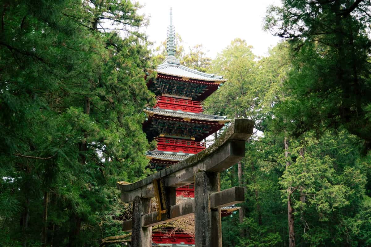 La pagode rouge à cinq étages du Tōshō-gū de Nikko derrière un torii de pierre, au milieu des grands cèdres