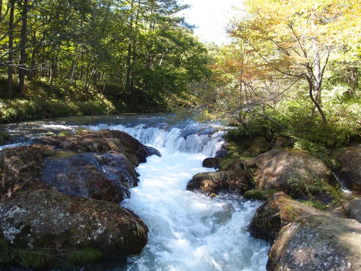 La rivière Yu qui dévale entre les rochers dans la forêt de Senjōgahara, au début de l'automne, à Okunikkō