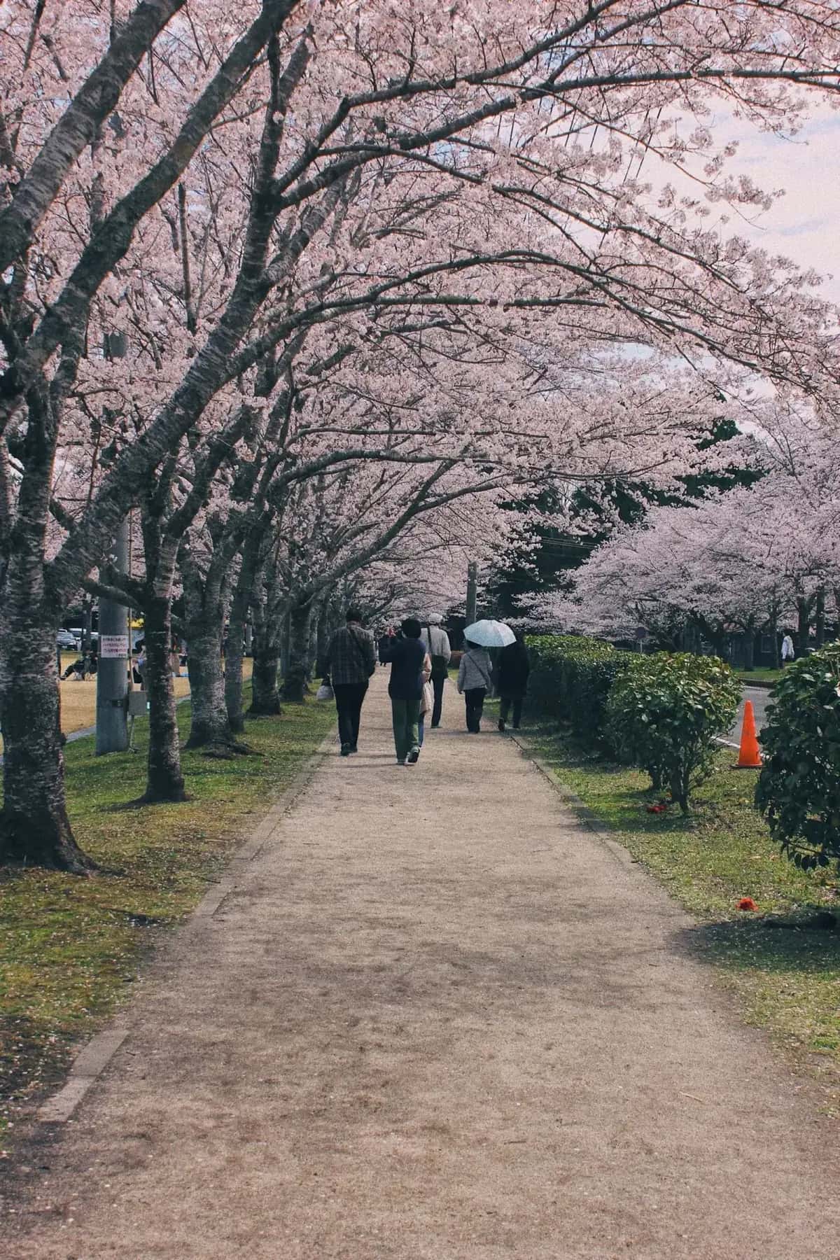 Paysage japonais
