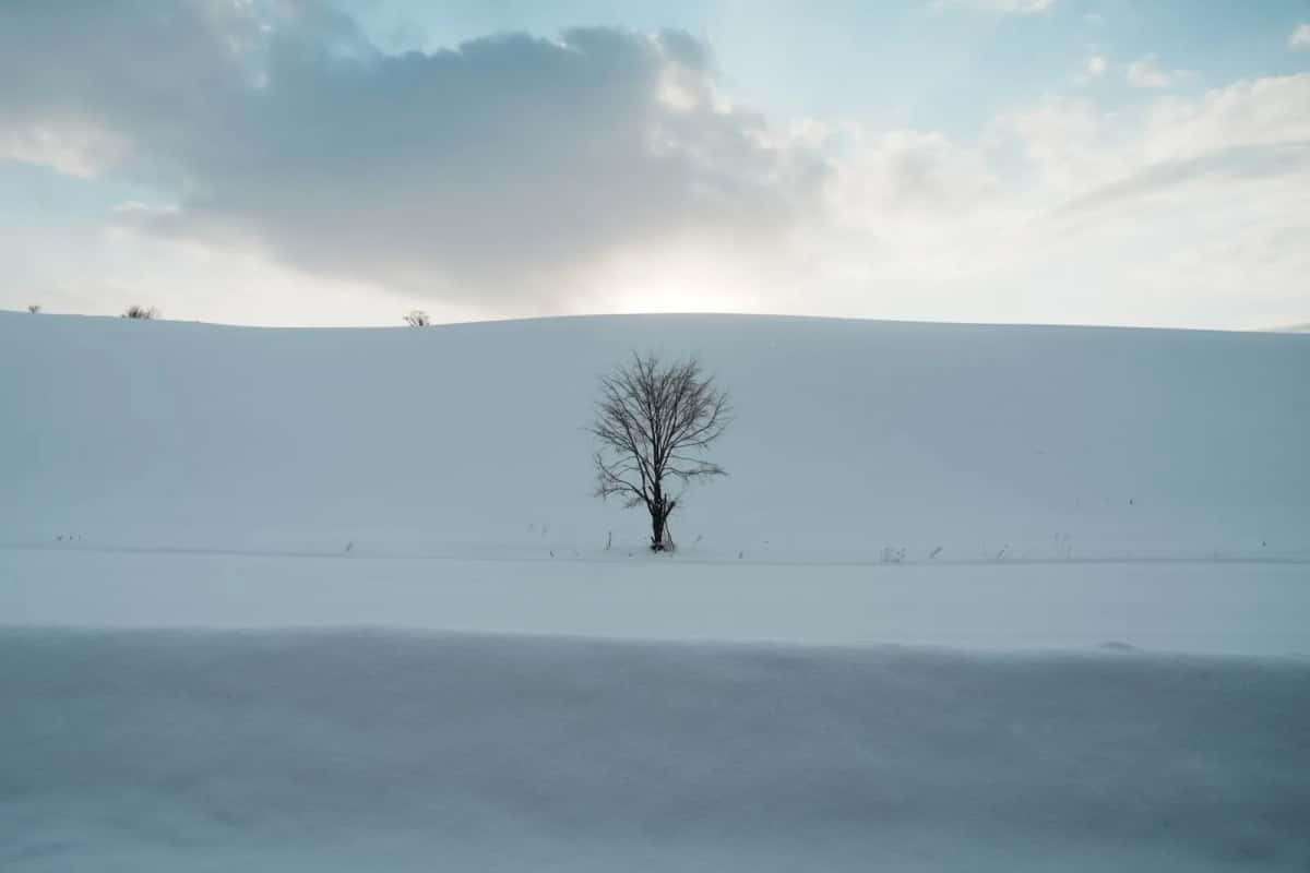 Paysage enneigé d’Hokkaido en hiver, Japon