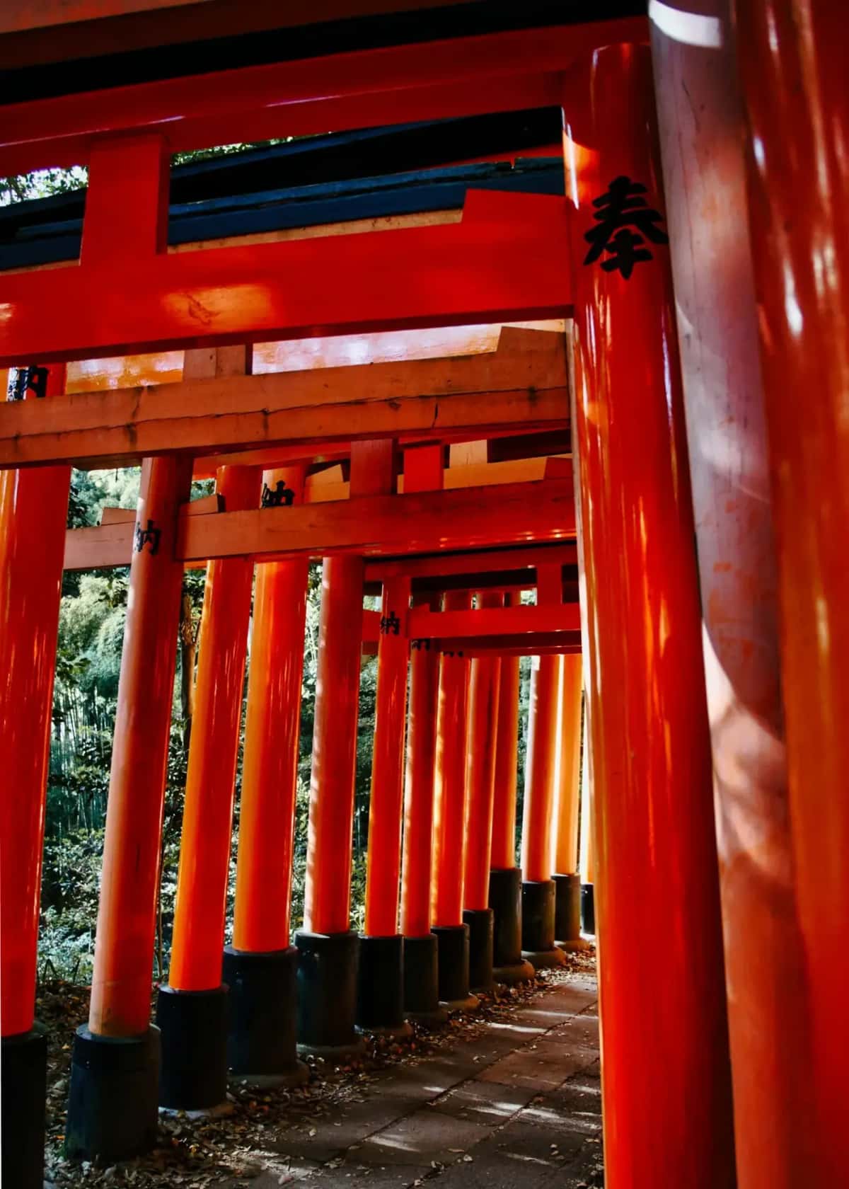 Allée de torii rouges de Fushimi Inari, Kyoto