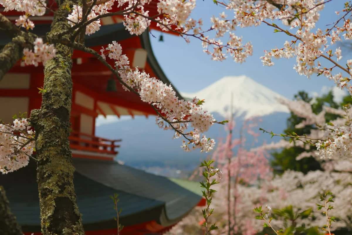 Pagode de Chureito avec cerisiers en fleurs et Mont Fuji, Japon