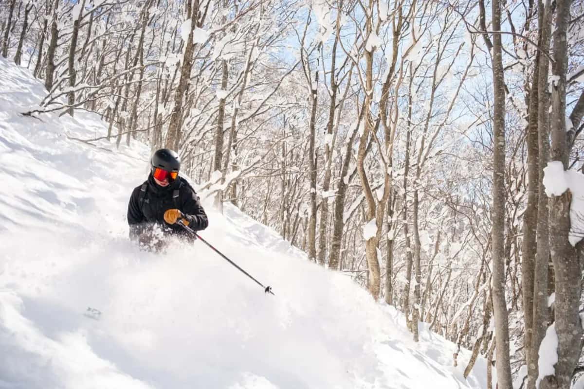Skieurs à Niseko Grand Hirafu dans la poudreuse japonaise