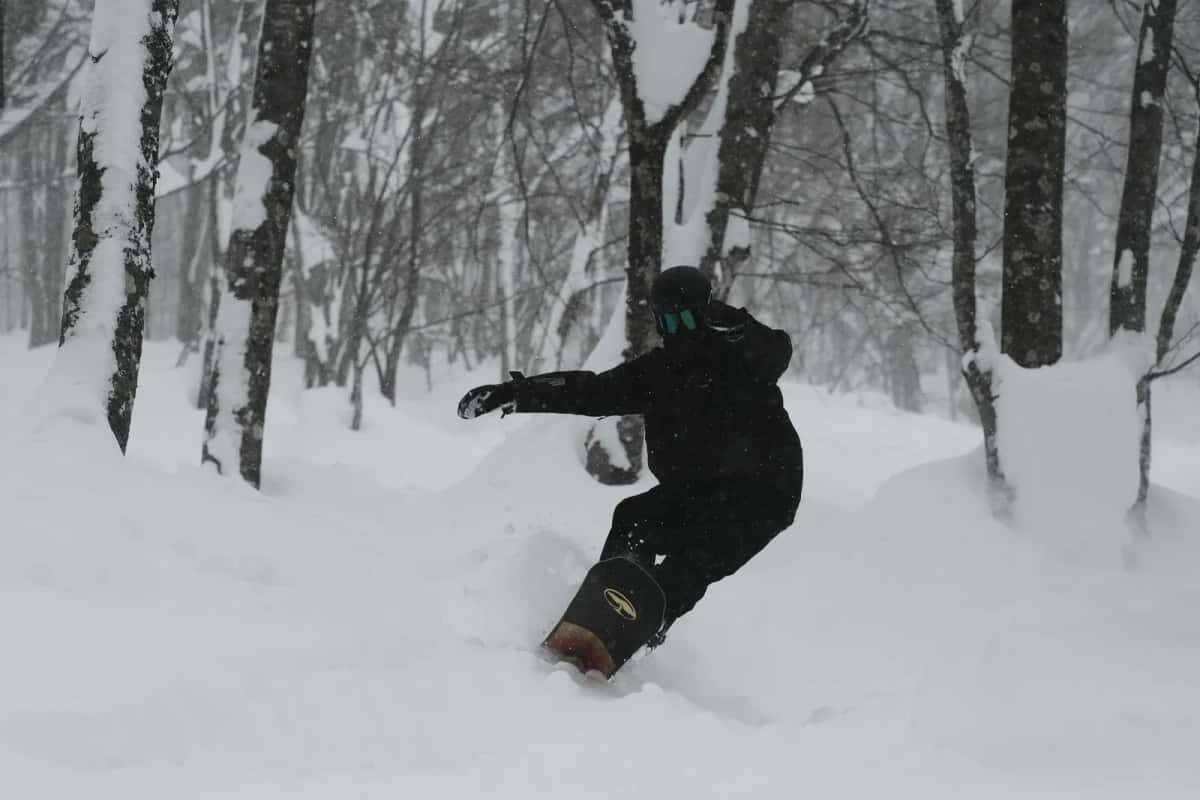 Snowboard dans la forêt de Niseko An'nupuri