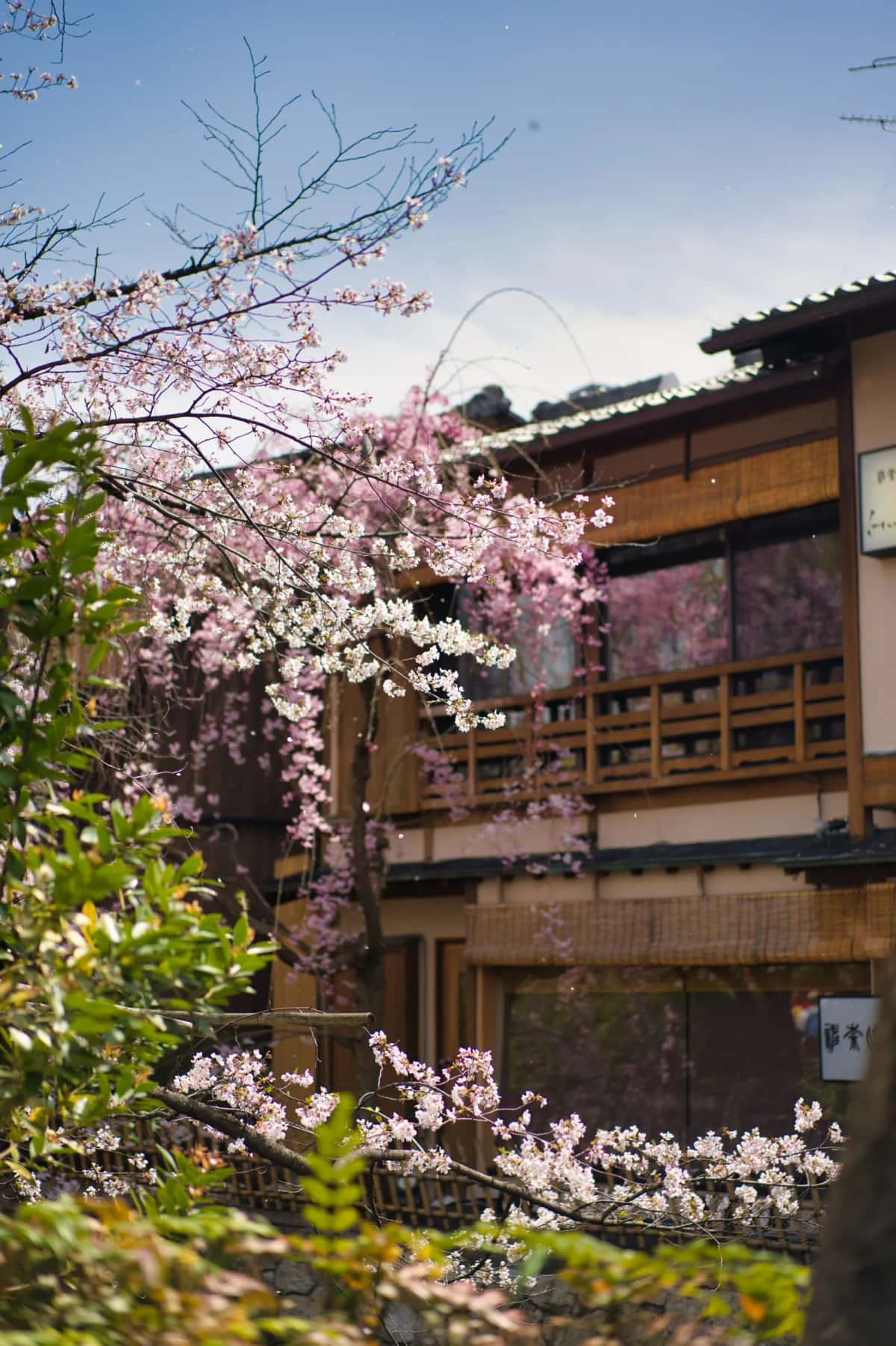 Temple traditionnel à Kyoto au Japon