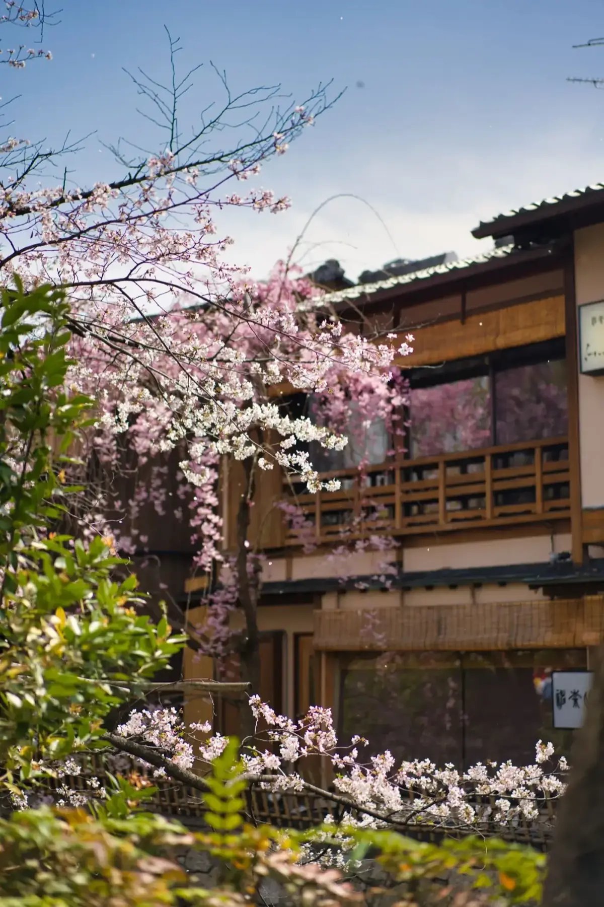 Programme vacances-travail au Japon