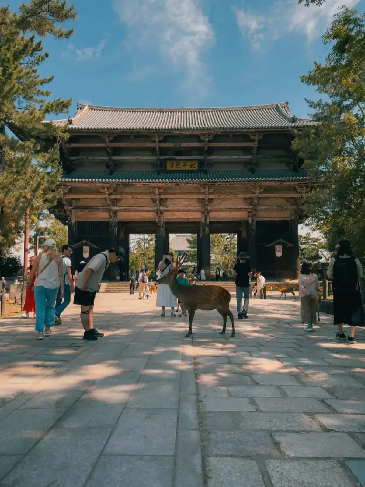 Visiteurs et cerfs à la porte Nandaimon de Nara Park