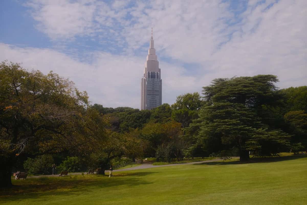 La grande pelouse du jardin paysager anglais de Shinjuku Gyoen sous la tour NTT Docomo, à Tokyo