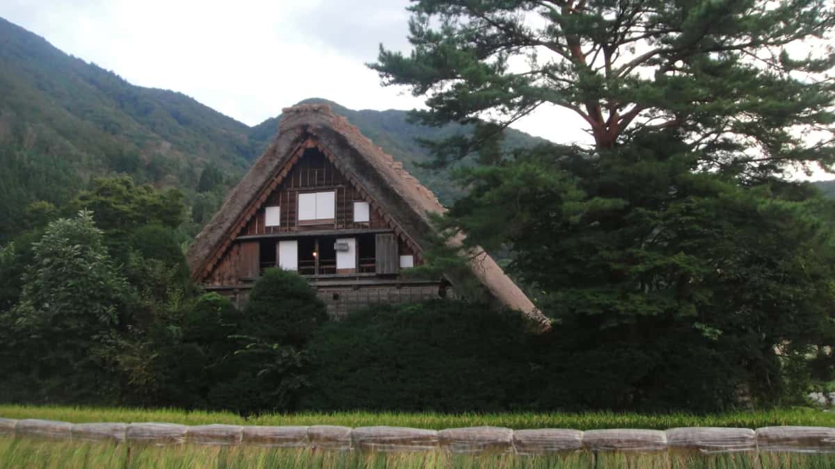 La maison Wada, plus grande ferme gassho-zukuri d'Ogimachi, avec son toit de chaume sur quatre niveaux