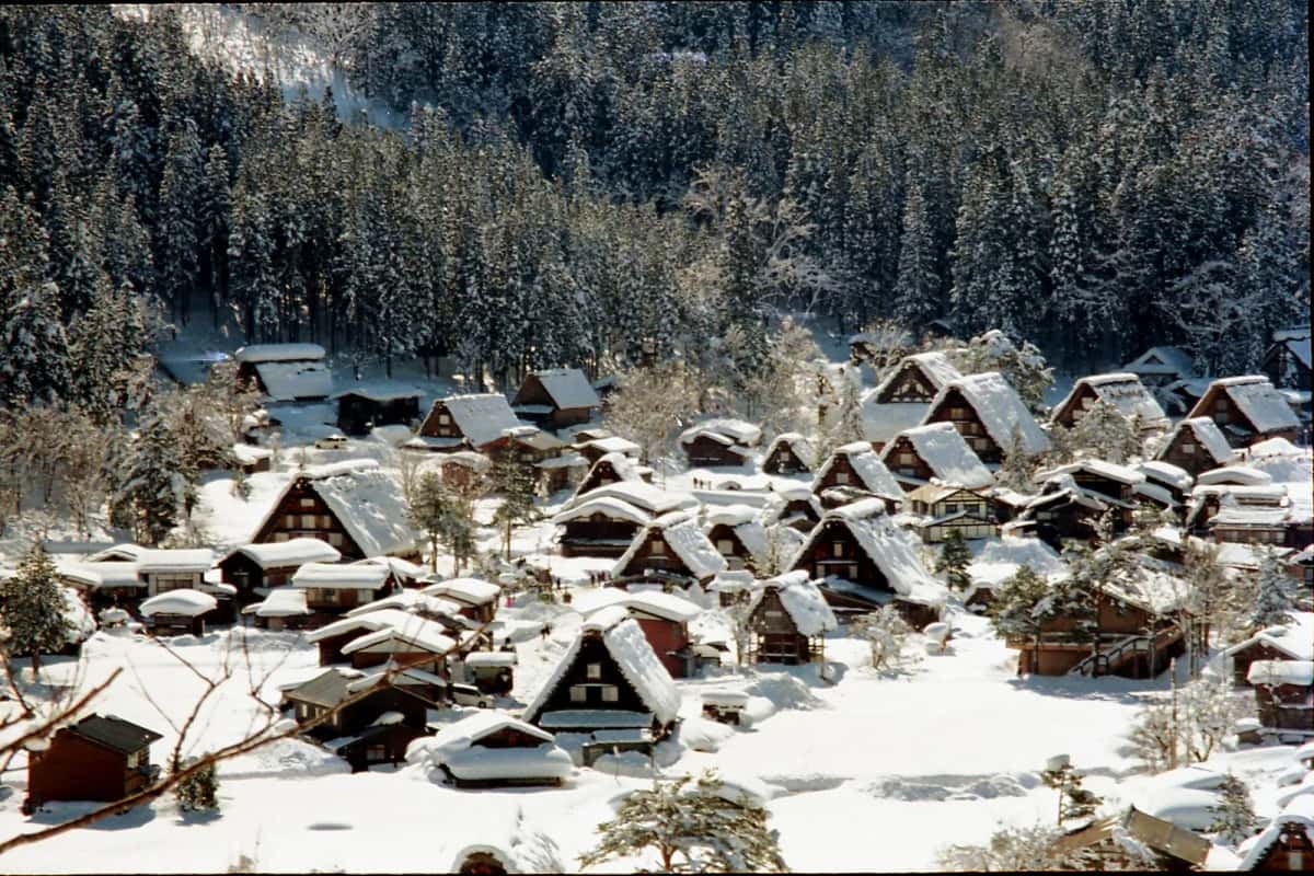 Fermes gassho de Shirakawa-go couvertes d'une épaisse couche de neige, en plein jour