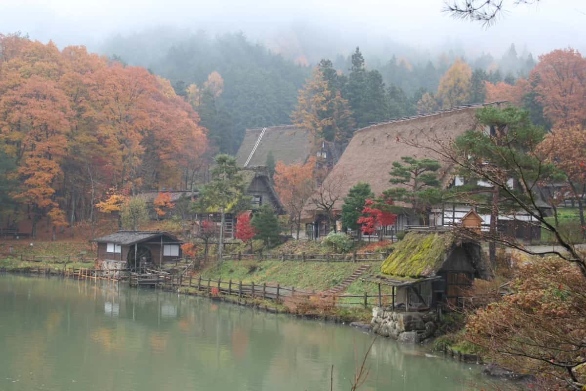 Fermes au toit de chaume au bord de l'étang du village folklorique Hida no Sato, à Takayama, en automne