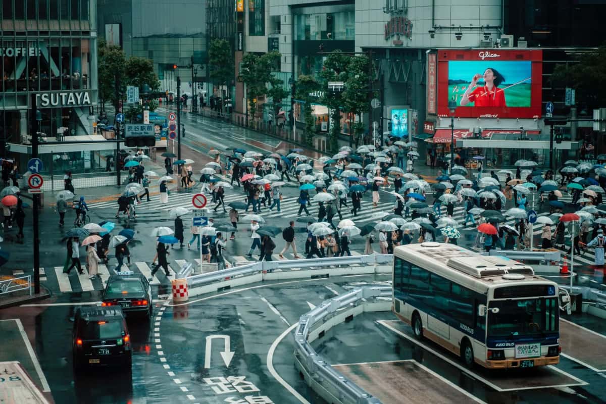 Carrefour de Shibuya à Tokyo sous la pluie, foule de passants sous des parapluies et bus dans une rue détrempée