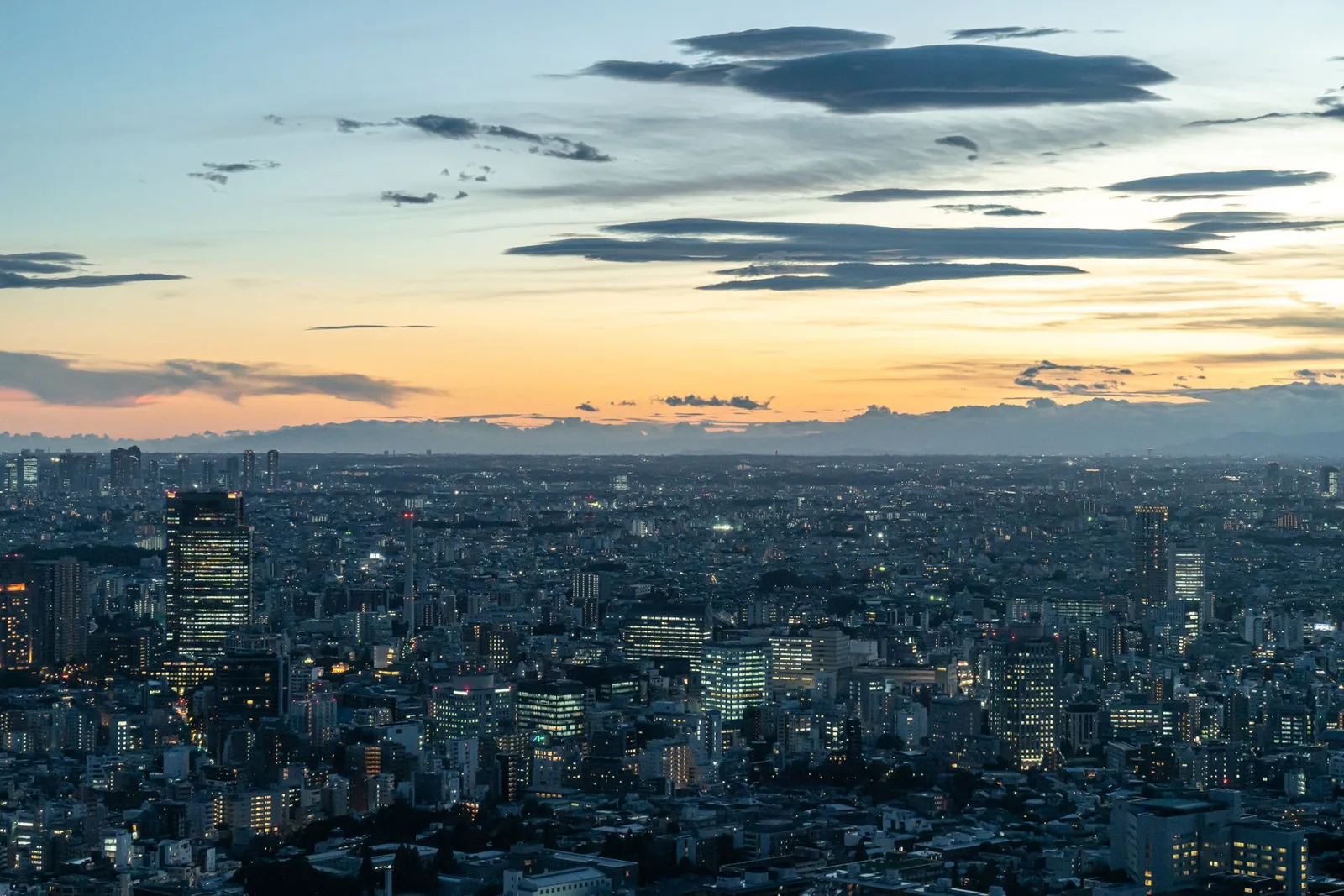Mont Inari Kyoto Observatoires de Tokyo : Skytree, Shibuya Sky ou Tokyo Tower